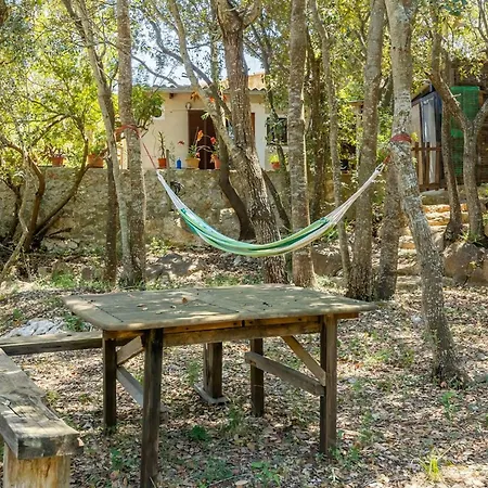 La Salve Jordi By Interhome Ferienhaus Pollença