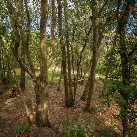 La Salve Jordi By Interhome Ferienhaus