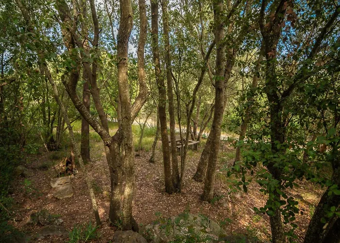 La Salve Jordi By Interhome Vakantiehuis